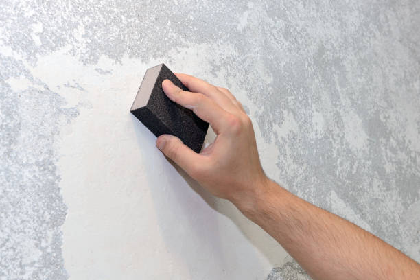 Professional Mold Removal in Enumclaw, WA