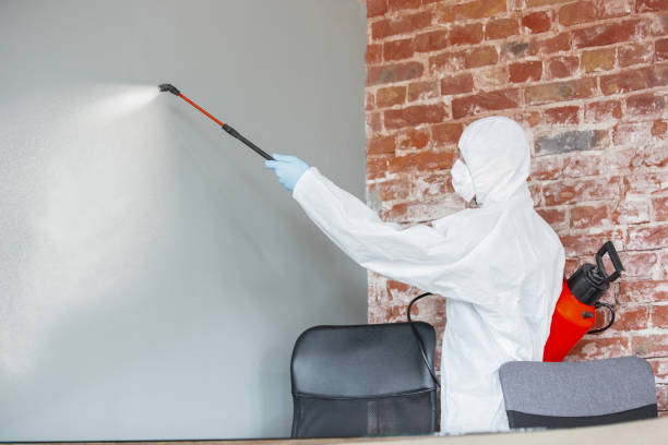 Dehumidification Services in Enumclaw, WA