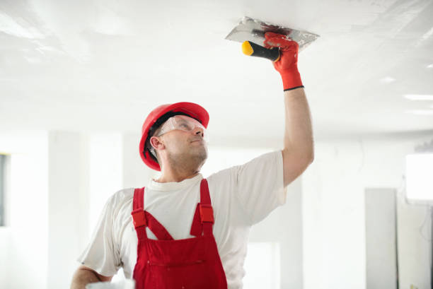 Mold Documentation for Insurance Claims in Enumclaw, WA
