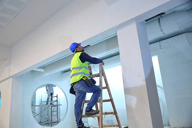 Enumclaw, WA Mold Removal Pros